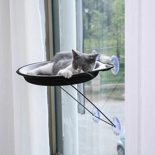 Pet Hanging Beds Cat Sunny Seat Window Mount Pet Cat Hammock Comfortable Cat Pet Bed EVA Soft Pet Bed