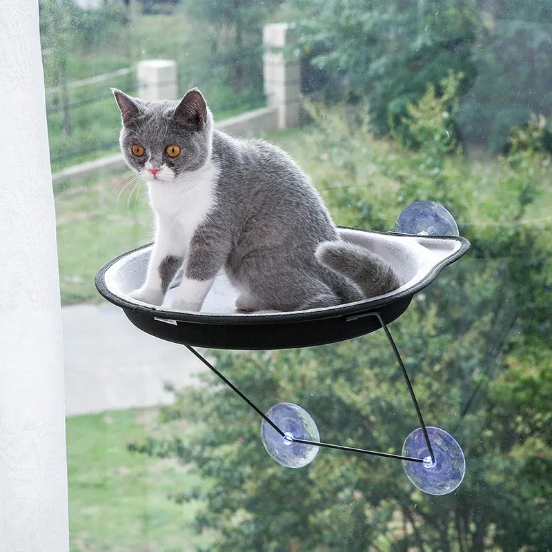 Pet Hanging Beds Cat Sunny Seat Window Mount Pet Cat Hammock Comfortable Cat Pet Bed EVA Soft Pet Bed