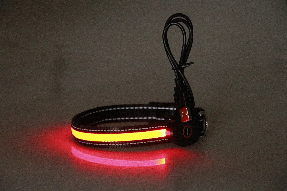 Hot Sale New LED Dog Collar USB Rechargeable For Pets Nylon Led Rechargeable Usb Adjustable Flashing Night Dog Collars Cat Neck