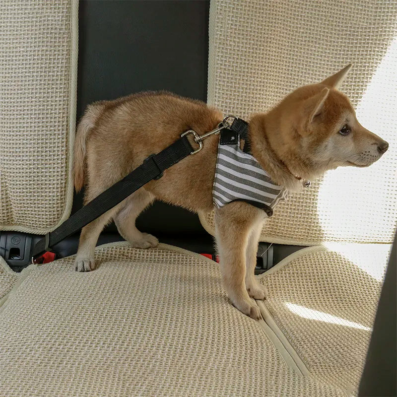 Dog Pet Car Seat Cover Belts Nylon Breakaway Pets Outdoor Car Carrying Accessories Pet Dog Car Seat Belts Breakaway Pug MP0003