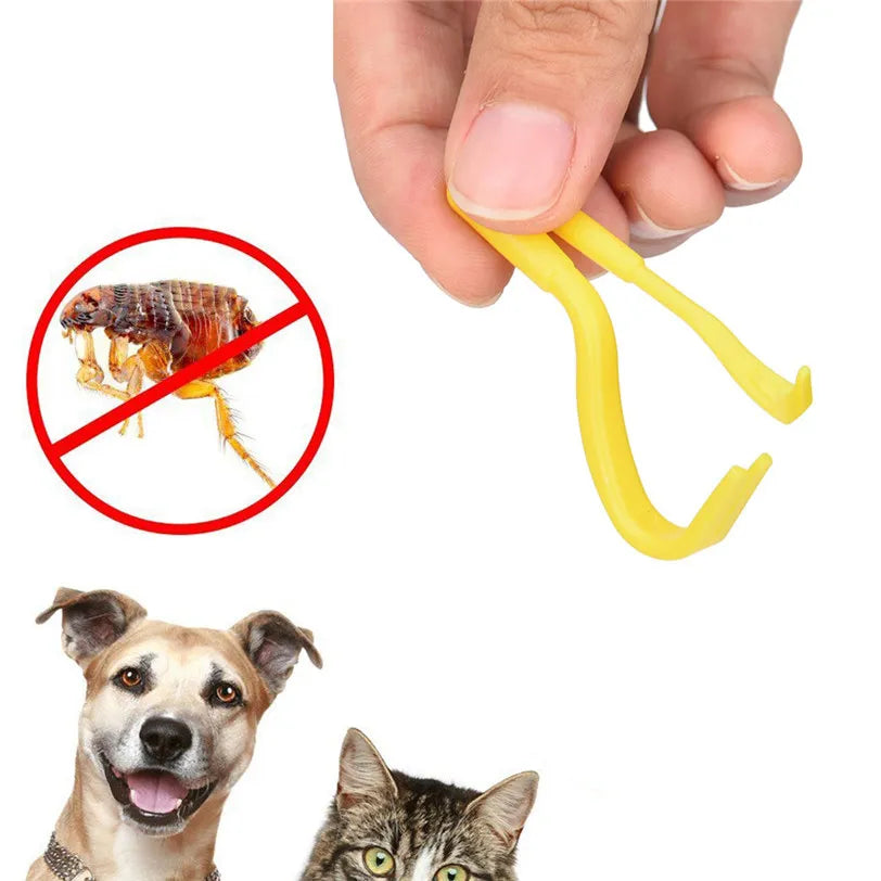 Tick Remover Hook Tool Removes Ticks Pack x 2 Sizes Drawing Pliers Dog Horse Cat Pet Tick Twister Tick Removal Tool