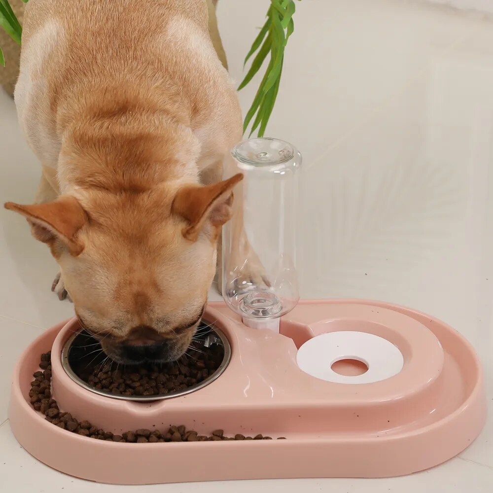HOOPET Automatic Feeding Bowl For Cat Pet Water Feeder Kitten Drinking Fountain Food Dish Pet Goods Save Food Dog Bowl Suppliers