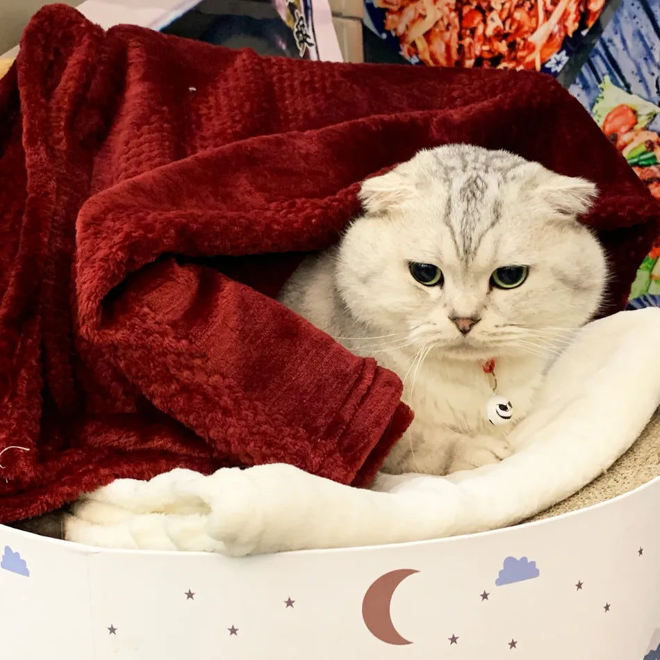Pet Blanket Dog Fluffy Towel Blanket  Fleece Sleeping Cover Towel Cushion for Dog Cats Mat Bed,Blanket for Beds Winter Warm